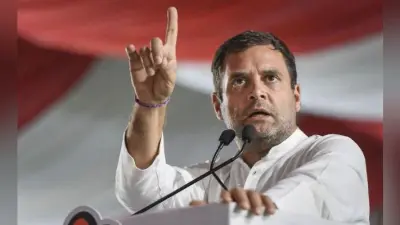 राफेल : सुप्रीम कोर्ट के फैसले पर बोले राहुल- सरकार जेपीसी गठित कर जांच कराये