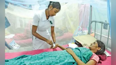 महानगर में बढ़ रही डेंगू के मरीजों की संख्या