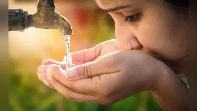 Jharkhand News : जल समस्या से निपटने के लिए रांची नगर निगम तैयार, गर्मी से पहले शहर के इतने वार्डों में लगेगी नयी बोरिंग व वाटर हार्वेस्टिंग