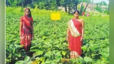 श्रीविधि से जैविक खेती के लिए रोल मॉडल बन चुकी हैं साको देवी