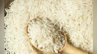 प्लास्टिक चावल मामले की जांच का दिया आदेश