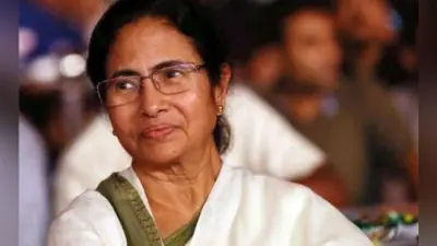 उपचुनाव: तृणमूल ने जीती सभी तीन सीटें, भाजपा को झटका