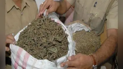 बिहार के बेतिया में पकड़ी गई तीन करोड़ की चरस, भारत-नेपाल सीमा के पास से तीन तस्कर गिरफ्तार