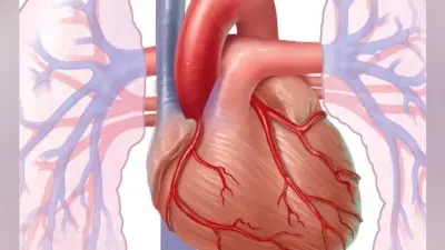 हृदयरोगियों के लिए नारायणा हेल्थ, पक्के इलाज का सच्चा वादा
