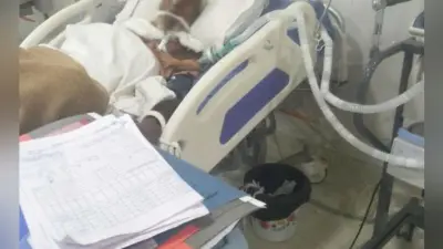 रांची : मरीजों की जांच के नाम पर करोड़ों के फर्जी बिल
