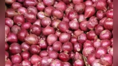 आयोग ने सस्ता प्याज मामले में मांगी रिपोर्ट
