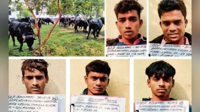 कोलकाता : मवेशियों की तस्करी के आरोप में छह गिरफ्तार