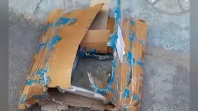 Flipkart से मंगवाया Rs 27500 का कैमरा, मैनुअल के साथ मिले टाइल्स के टुकड़े