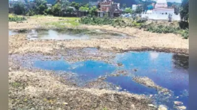 1.32 लाख तालाबों और पोखरों को किया जायेगा अतिक्रमणमुक्त