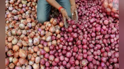 बंगाल ने मिश्र को दिया 800 टन प्याज का ऑर्डर
