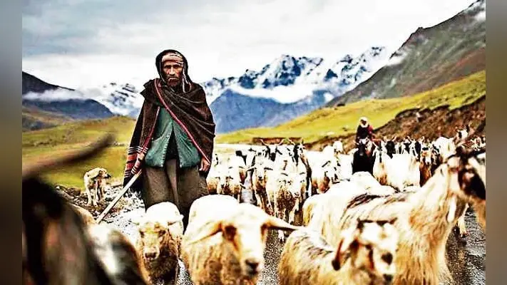 घुमंतू जिंदगी के रूबरू