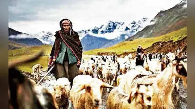 घुमंतू जिंदगी के रूबरू