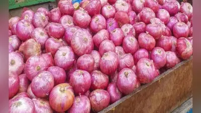 … तो अब प्याज की कीमतों में उतार-चढ़ाव को देख फरवरी में तय होगी Repo Rate की कटौती!