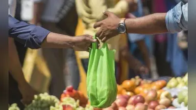 ” प्लास्टिक कैरी बैग का करेंगे इस्तेमाल, तो जुर्माना “