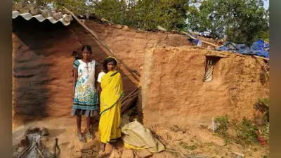 जंगली हाथियों ने 11 किसानों की फसल कर दी बरबाद, दो घरों को किया ध्वस्त