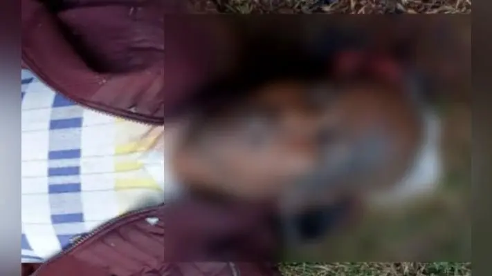 अज्ञात लोगों ने एक शख्स की गोली मारकर की हत्या, पुलिस ने बरामद किया शव