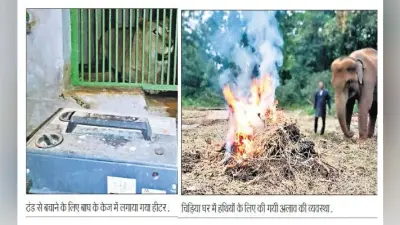 ओरमांझी : हाथी के लिए अलाव व बाघ, तेंदुआ के लिए हीटर