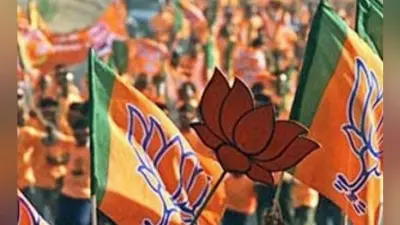 झारखंड विधानसभा परिणाम : भाजपा मात्र दो एसटी सीट ही जीत सकी, संताल व कोल्हान में खाता भी नहीं खुला
