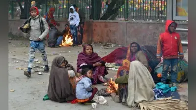 उत्तर भारत शीत लहर की चपेट में, स्कूल बंद, रेल यातायात प्रभावित