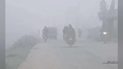 बिहार में ठंड से 19 लोगों की मौत