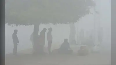 Bihar Weather Alert : फसल के लिए लाभदायक है शीतलहर, लेकिन बुजुर्ग और गर्भवती महिलाओं बरतें सावधानी, रखें विशेष ध्यान