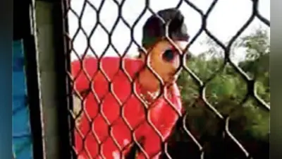 VIDEO: ट्रेन से लटककर स्टंट कर रहे 20 साल के युवक की मौत, रेल मंत्रालय ने कही यह बात…