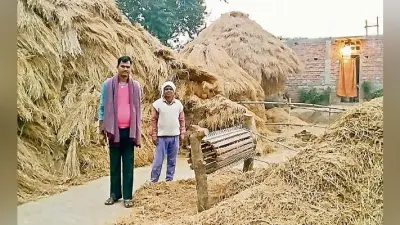 फतुहा : बिचौलियों के हाथों औने-पौने दाम में धान बेच रहे किसान