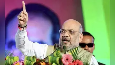 लोकसभा चुनाव 2019 : दिल्ली के रामलीला मैदान में भाजपा राष्ट्रीय परिषद की बैठक शुरू, अमित शाह बोले- 2019 में वैचारिक युद्ध