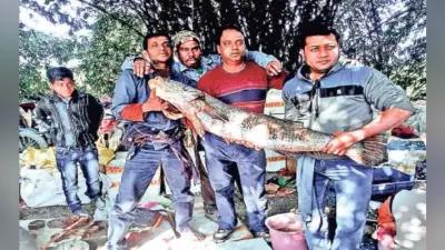 हुगली : 522 वर्ष पुराना मछली मेला लगा