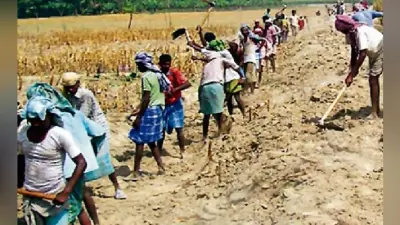 पटना : मनरेगा केंद्र के पास 700 करोड़ बकाया