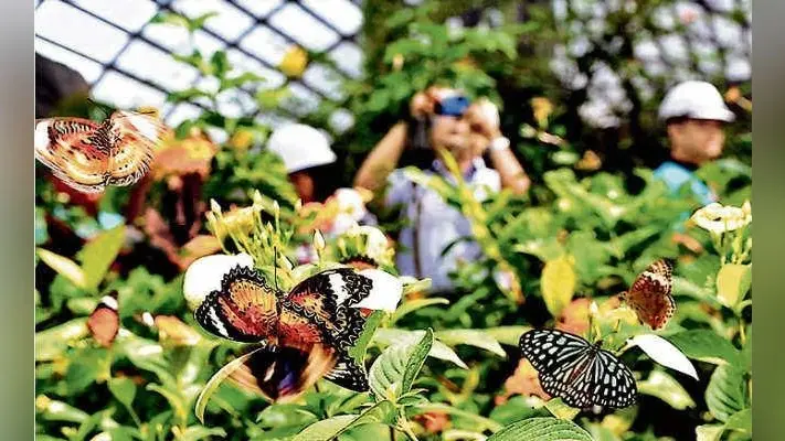जमशेदपुर : शहर से बाहर शिफ्ट किया जायेगा टाटा जू