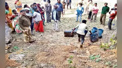 सिकिदिरी : कुच्चू पंचायत को शराब मुक्त बनाने का अभियान, छह शराब भट्ठी ध्वस्त जावा महुआ नष्ट किया