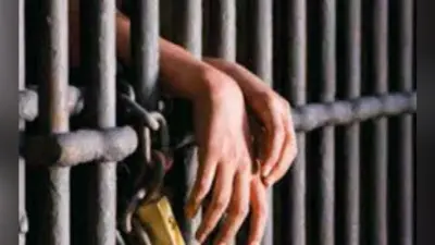 मधुपुर : तीन साइबर अपराधी को तीन वर्ष सश्रम कारावास