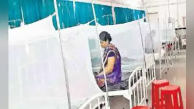 जमशेदपुर : भुइयांडीह ब्राह्मण टोले में जाॅन्डिस व मलेरिया का प्रकोप, दर्जनों बीमार