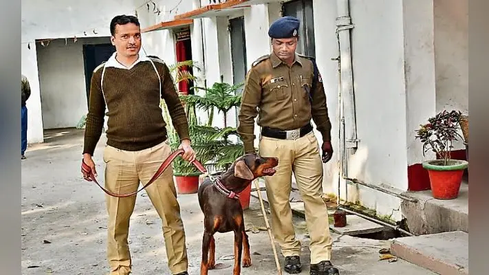 चांडिल : रेलवे ट्रैक्शन ऑफिस में डकैती, तीन रेलवेकर्मियों को बनाया बंधक, 15 क्विंटल कॉपर ले गये