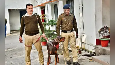 चांडिल : रेलवे ट्रैक्शन ऑफिस में डकैती, तीन रेलवेकर्मियों को बनाया बंधक, 15 क्विंटल कॉपर ले गये