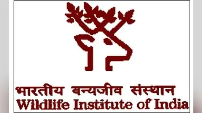 भारतीय वन्यजीव संस्थान ने मांगे हैं आवेदन