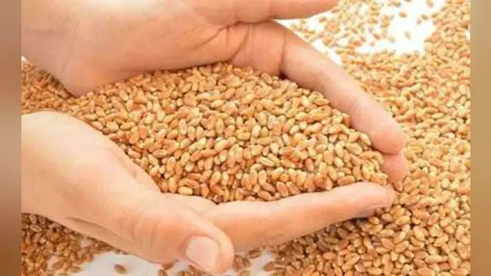 पटना : हॉस्टलों के आठ हजार छात्रों को मिलेगा मुफ्त में अनाज