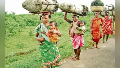 लाखाें आदिवासी जंगल से होंगे बेदखल