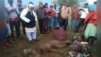 झारखंड : आधी रात को आया हाथी, रूपन को पटककर मार डाला