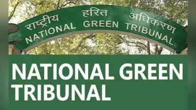 NGT ने जर्मन ऑटोमोबाइल कंपनी फॉक्सवैगन पर लगाया 500 करोड़ रुपये का जुर्माना
