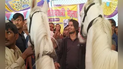तेज प्रताप को ब्रह्मपुर पशु मेले से पसंद आया घोड़ा, अस्सी हजार में खरीद लौटे