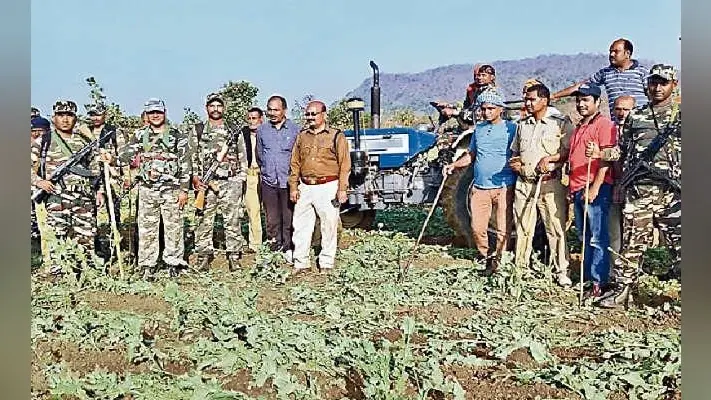 गया : 14 एकड़ में लगी अफीम की फसल पकड़ायी, आठ करोड़ रुपये आंकी गयी फसल की कीमत