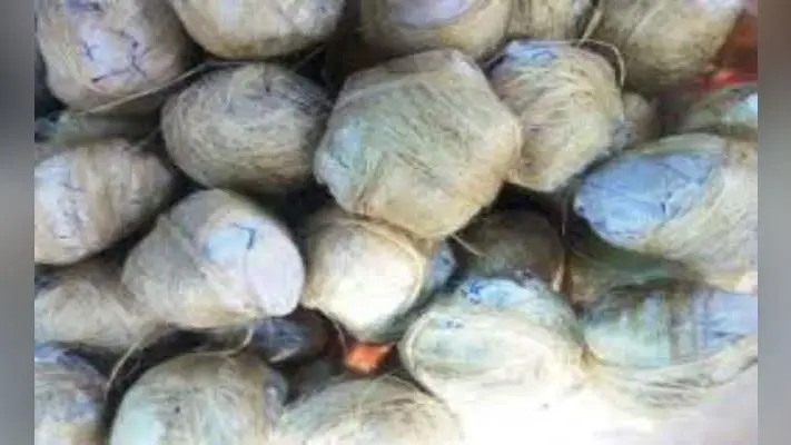 एक घर से 52 बम बरामद, मालिक फरार