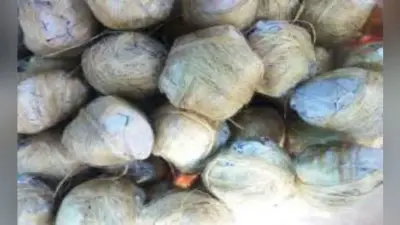 एक घर से 52 बम बरामद, मालिक फरार
