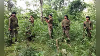 जंगल में मिला मौत का जखीरा, सर्च ऑपरेशन के दौरान सुरक्षाबलों को मिले दो शक्तिशाली बम