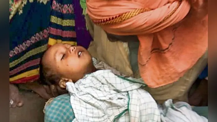 बिहटा में दो बिल्लियों ने ले ली मासूम की जान
