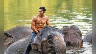 Junglee फिल्म की सीरीज बनाने की योजना बना रहे हैं विद्युत जामवाल