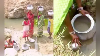 बांका में एक ही तालाब से पानी पीते हैं ग्रामीण और जानवर, कई लोगों की हो चुकी है मौत