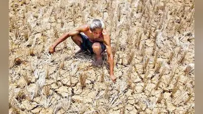 केंद्र सरकार ने दी अनुमति, झारखंड में 272 करोड़ खर्च होंगे सूखा राहत पर